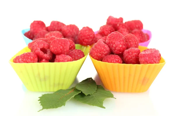 Fresh raspberries in silicone molds isolated on white — Stock Photo, Image
