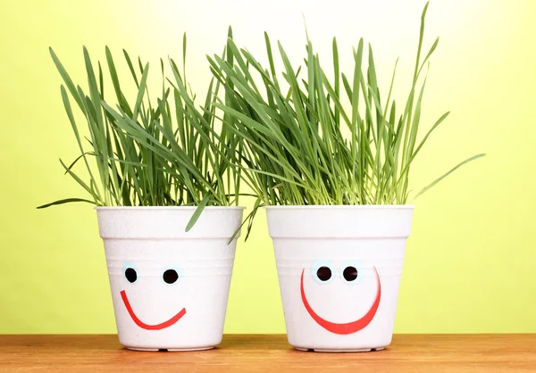 A pots of grass on green background — Stock Photo, Image