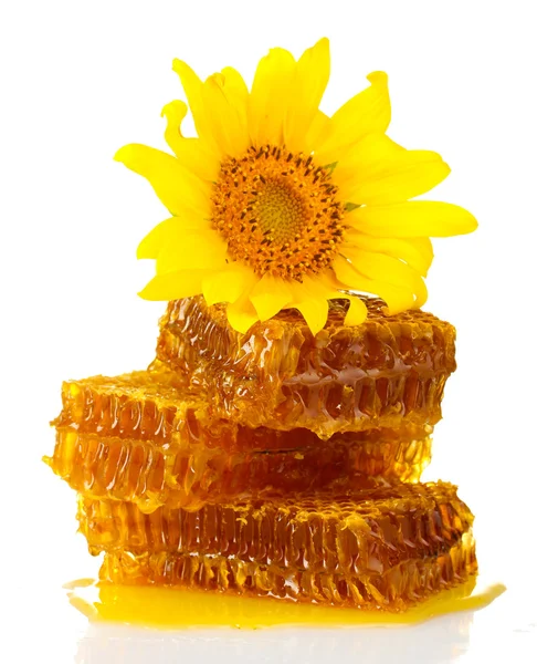 Sweet honeycombs with honey and sunflower, isolated on white — Stock Photo, Image