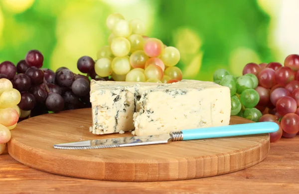 Kaas met schimmel op de snijplank met druiven op helder groene pagina — Stockfoto