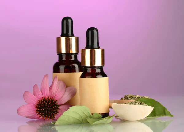 Bottiglie con olio essenziale e echinacea viola, su sfondo rosa — Foto Stock