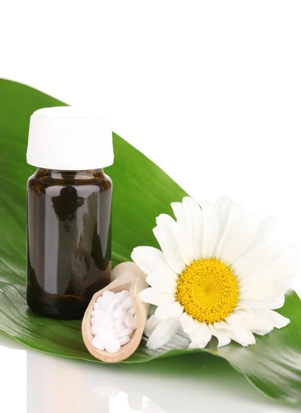 Homeopathische tabletten en bloem op groene blad geïsoleerd op wit — Stockfoto