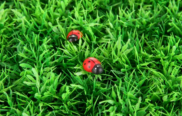 Ladybirds yeşil çimenlerin üzerinde — Stok fotoğraf