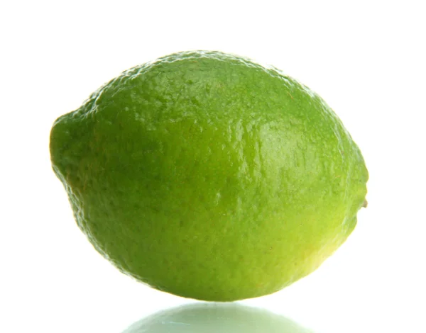 Lime fraîche isolée sur blanc — Photo