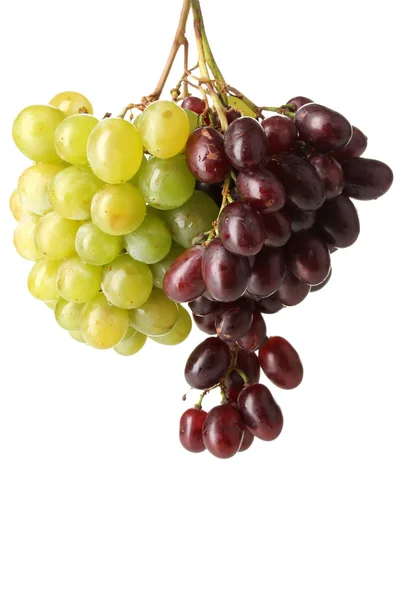 Delicious ripe two bunches of grapes isolated on white — Stock Photo, Image