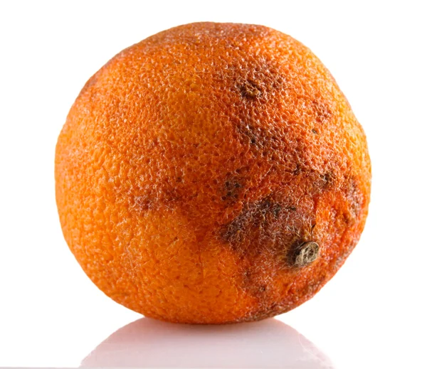 Rotten orange isolated on white — Stock Photo, Image