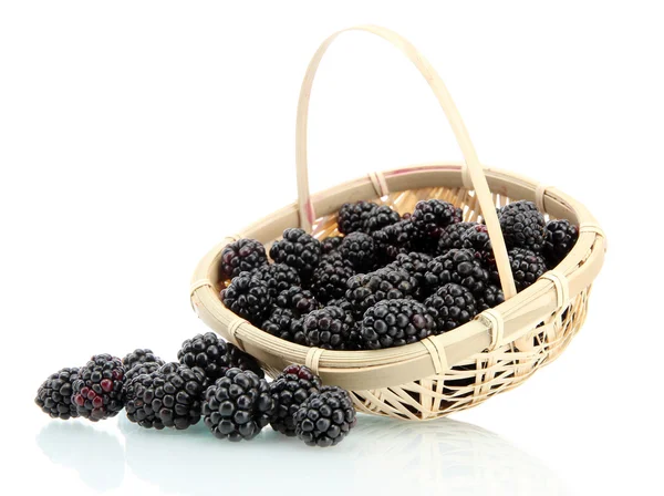 美丽黑莓用叶子在篮子上白色隔离 — 图库照片