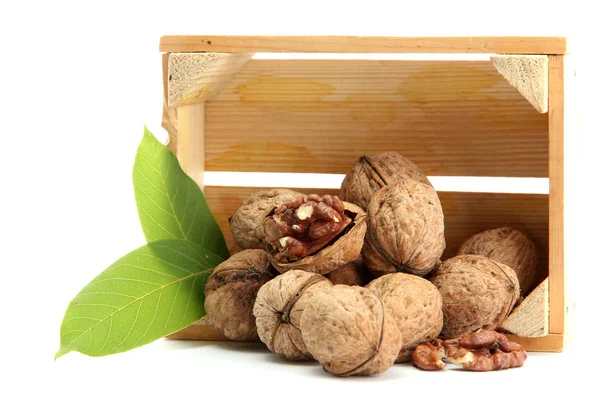 Walnuts with green leaves in woooden crate, isolated on white — Stock Photo, Image