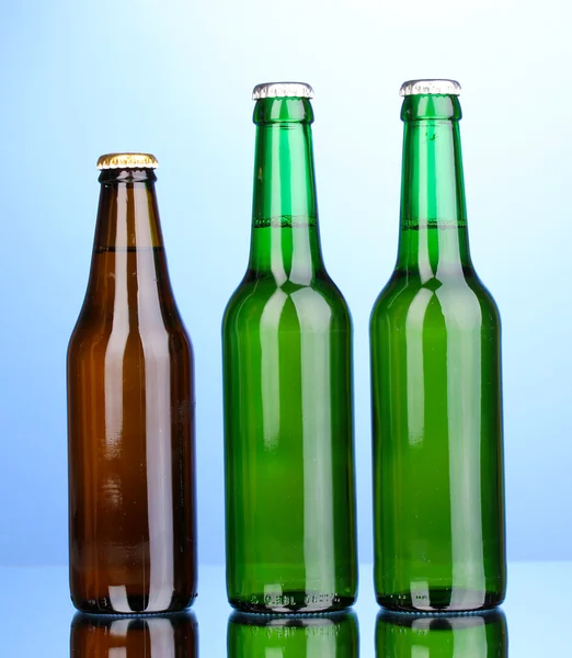 Пляшки пива на синьому фоні — стокове фото