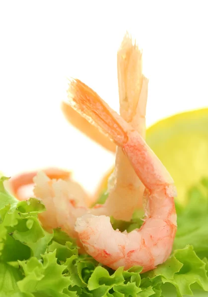 Boiled shrimps, lettuce leaf and lemon, isolated on white — Stock Photo, Image