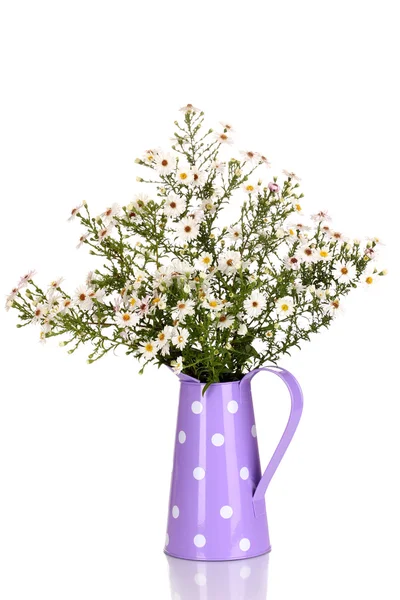 Beautiful bouquet of white flowers in watering can isolated on white — Stock Photo, Image