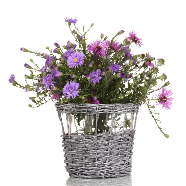 Beau bouquet de fleurs violettes dans le panier isolé sur blanc — Photo