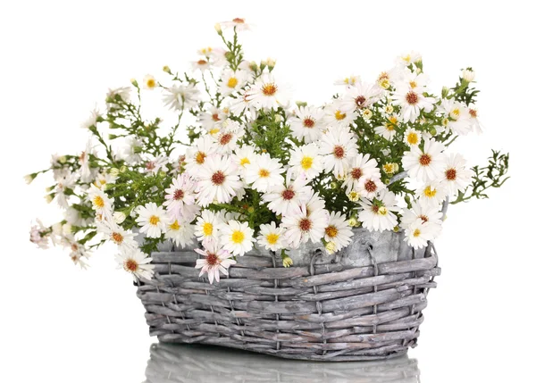 Mooi boeket van witte bloemen in mand geïsoleerd op wit — Stockfoto