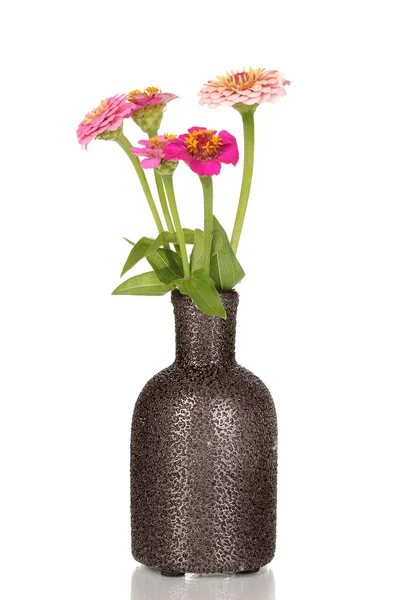 Schöne rosa Blüten in der Vase isoliert auf weiß — Stockfoto