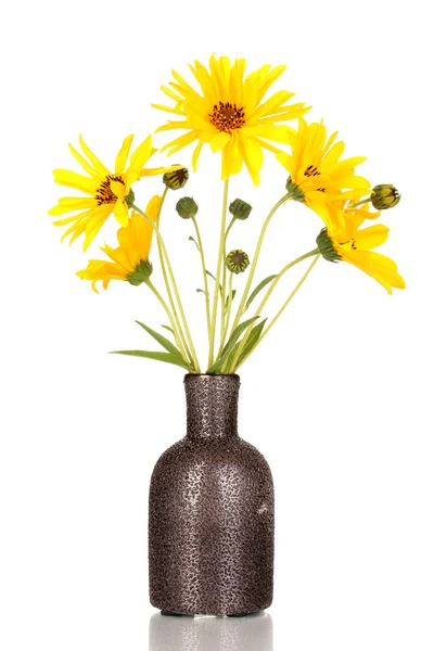 白で隔離される花瓶に美しい黄色い花 — ストック写真