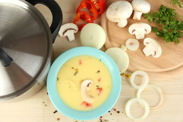 El proceso de la preparación la sopa con los ingredientes alrededor a la mesa el primer plano — Foto de Stock