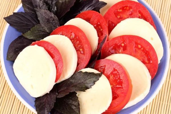 Schmackhafter Mozzarella mit Tomaten auf Teller auf Matte — Stockfoto