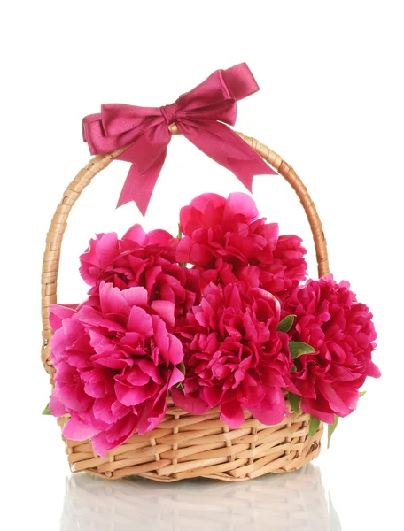 Belas peônias cor-de-rosa em cesta com arco isolado em branco — Fotografia de Stock