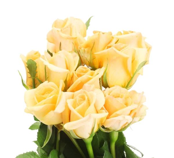 Beautiful bouquet of roses isolated on white — Stock Photo, Image