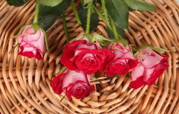 Hermosas rosas vinosas en primer plano estera de mimbre —  Fotos de Stock