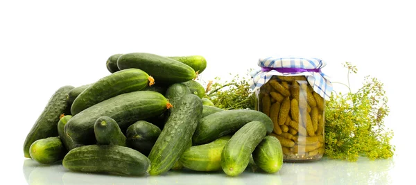 Verse komkommers, augurken en dille geïsoleerd op wit — Stockfoto