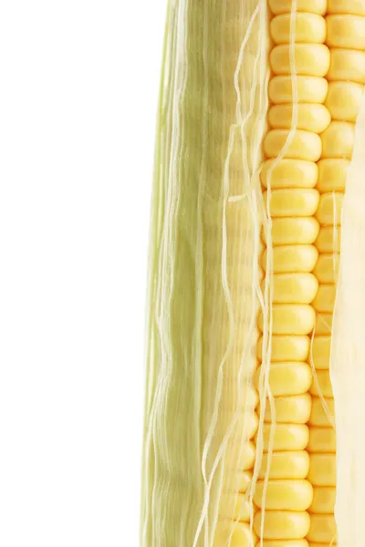 Friss kukorica, elszigetelt fehér — Stock Fotó