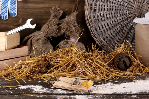 Mousetrap with a piece of cheese in barn on wooden background Royalty Free Stock Images