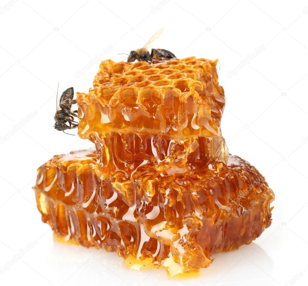 sweet honeycomb with honey and bee, isolated on white