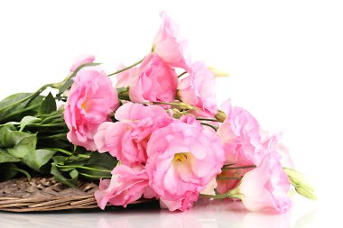 beyaz izole eustoma çiçek, buket