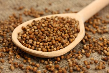 yığın kişniş tohum üzerinde tahta kaşık arka plan yakın çekim tuval