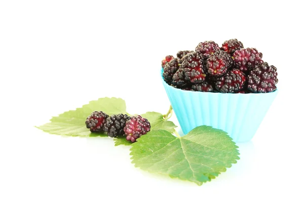 Bright silicone cutter with ripe mulberry isolated on white — Stock Photo, Image
