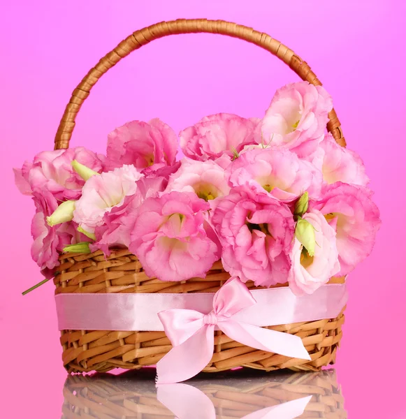 Eustoma kytice v košíku, na růžovém pozadí — Stock fotografie