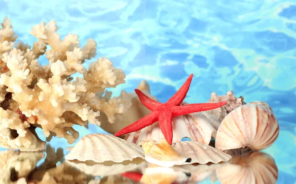Mořských korálů s pouzdry na vodu pozadí detail — Stock fotografie