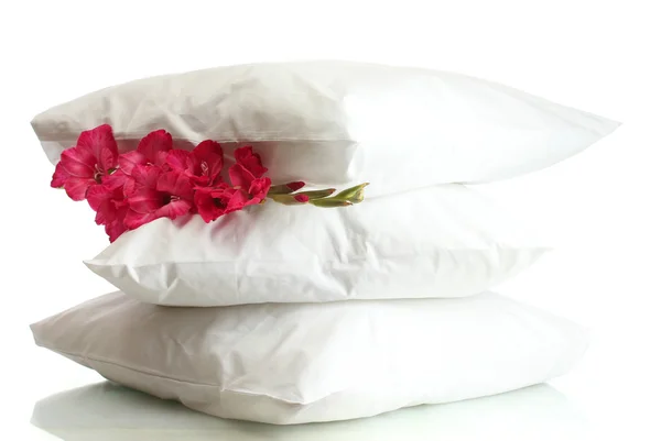 Μαξιλάρια και λουλουδιών, που απομονώνονται σε λευκό — Φωτογραφία Αρχείου