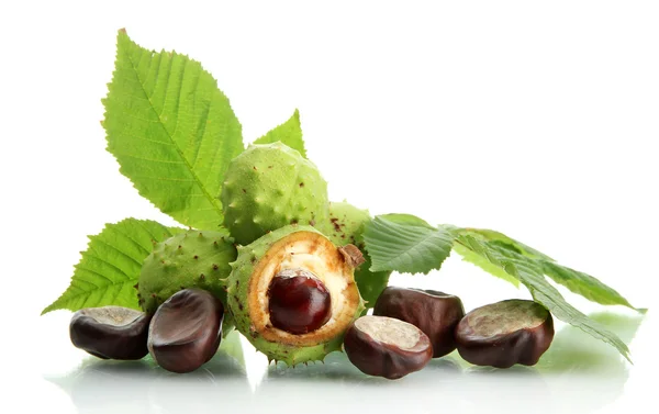 Chestnuts with leaves, isolated on white — Stock Photo, Image