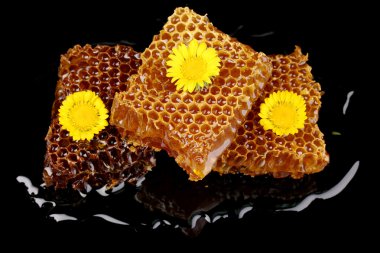 Petek portre siyah arka plan üzerine