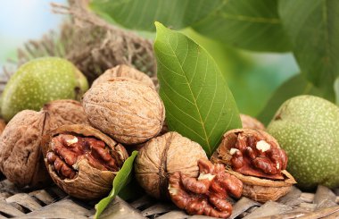 bahçede yeşil zemin üzerine yeşil yaprakları ile ceviz