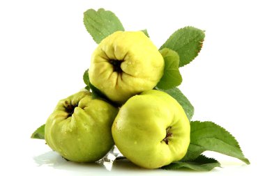 Yapraklı tatlı ayva, bembeyaz.