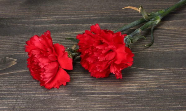 Twee anjer op houten grijze achtergrond — Stockfoto