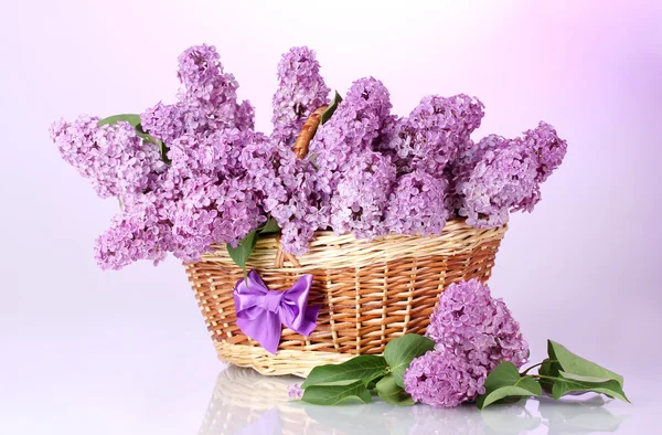 Όμορφη ιώδη λουλούδια στο καλάθι σε μοβ φόντο — Φωτογραφία Αρχείου