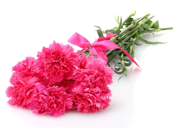 Beautiful pink carnations isolated on white — Stock Photo, Image