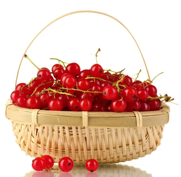 Groseilles rouges dans un panier isolé sur blanc — Photo