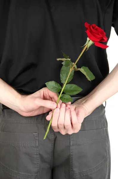 Homem segurando rosa close-up — Fotografia de Stock