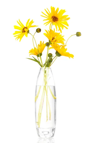 Schöne gelbe Blüten in der Vase isoliert auf weiß — Stockfoto