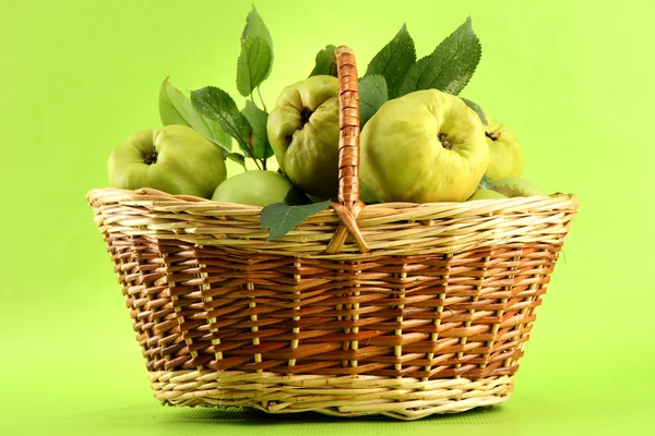 Sweet quinces with leaves in basket, on green background — Stock Photo, Image