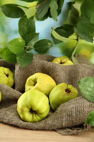 Sweet quinces with leaves, on burlap, on green background — Stock Photo, Image