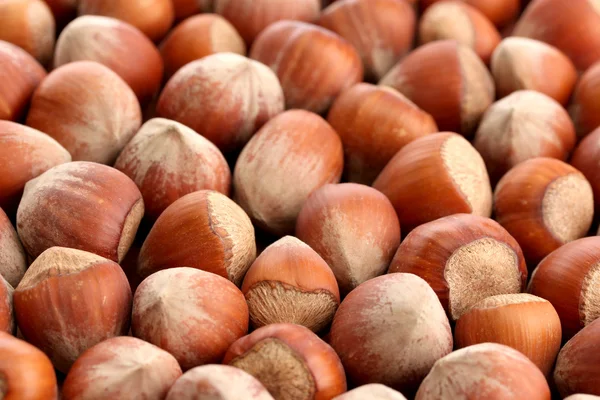 Tasty hazelnuts, close up — Stock Photo, Image