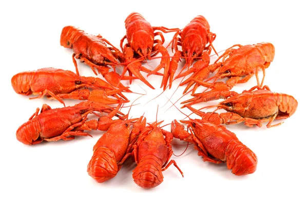 Crayfishes 흰색 절연을 삶은 맛 있는 — 스톡 사진