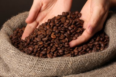 Kahve çekirdekleri koyu arkaplanda.