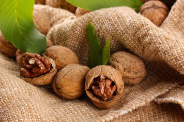 çuval bezi zemin üzerine yeşil yaprakları ile ceviz